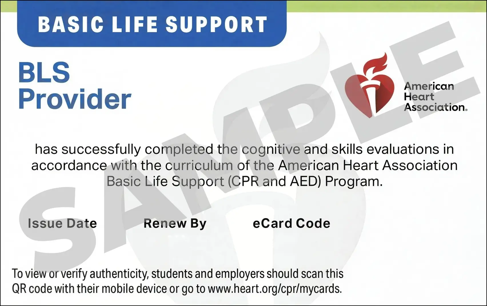 Sample American Heart Association AHA BLS CPR Card Certification from CPR Certification Milwaukee